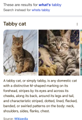 Libby, Tabby?