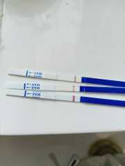 June 2025 TTC Support Thread