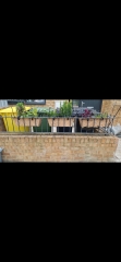 Garden before and after (pics)