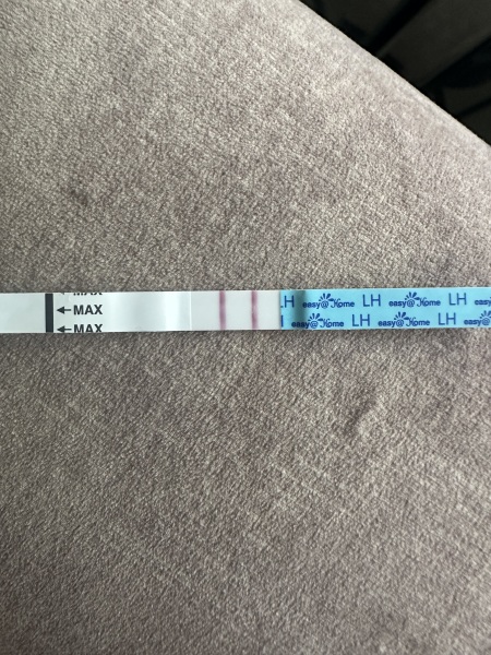 Ovulation test help