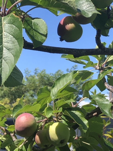 Daily Project round 7