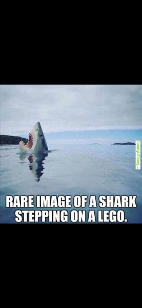 This made me howl laughing.  Anyone else heard a funny joke or seen a funny meme?