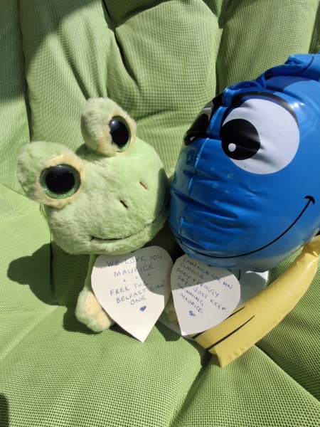 HELP! How can I get this mussel out?