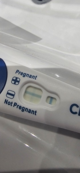 IVF / ICSI June 2025