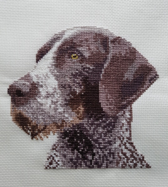 Roond and roond and up and doon - the Excellent Cats roam aboot