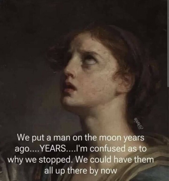 This made me howl laughing.  Anyone else heard a funny joke or seen a funny meme?