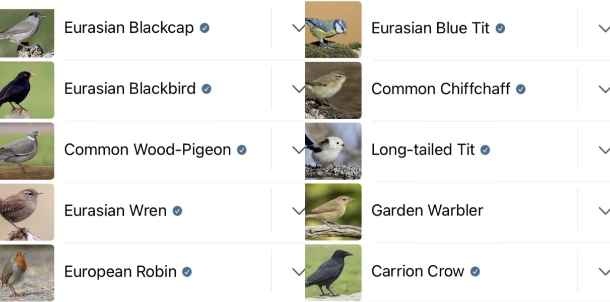 Garden birds today according to my Merlin app