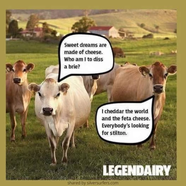 The Bluestocking Women’s Pub - Where Everybody Knows Your Username