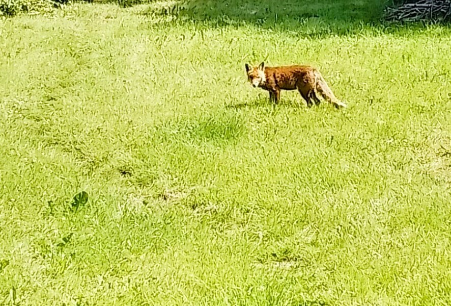The Bluestocking Women’s Pub - Where Everybody Knows Your Username