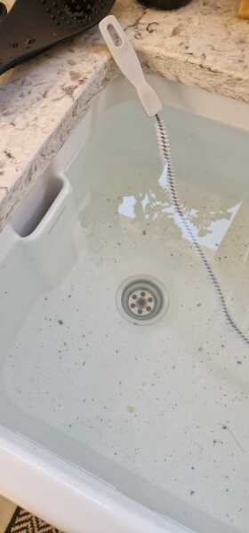 HELP! How can I get this mussel out?