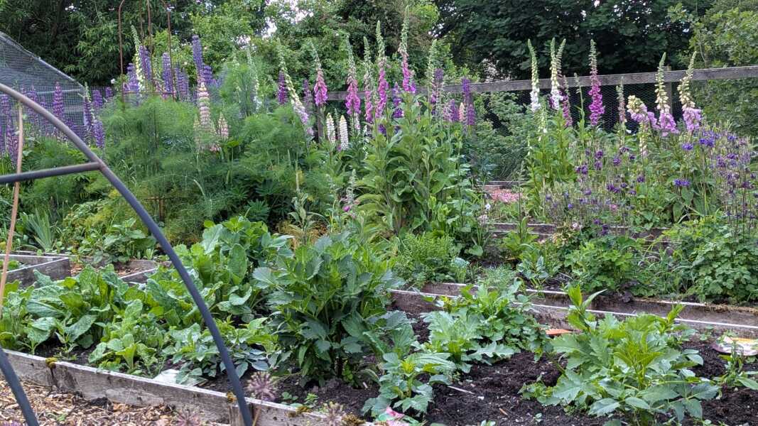 Year round Nigel Slater discussion thread Part 2