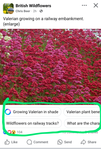 AI questions on FB posts?