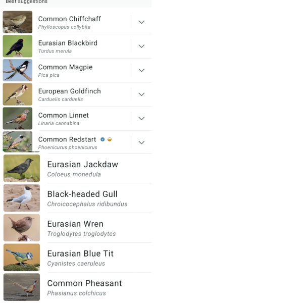 Garden birds today according to my Merlin app