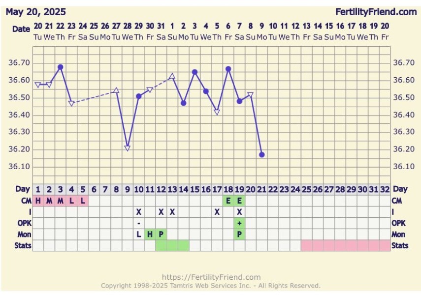 At least we avoided Christmas babies!