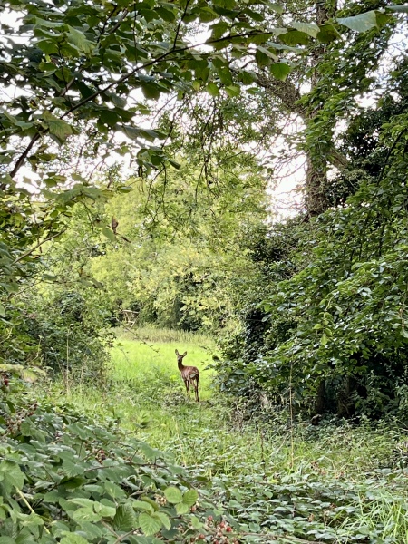 The Bluestocking Women’s Pub - Where Everybody Knows Your Username