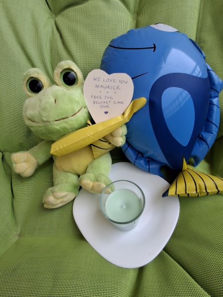 HELP! How can I get this mussel out?