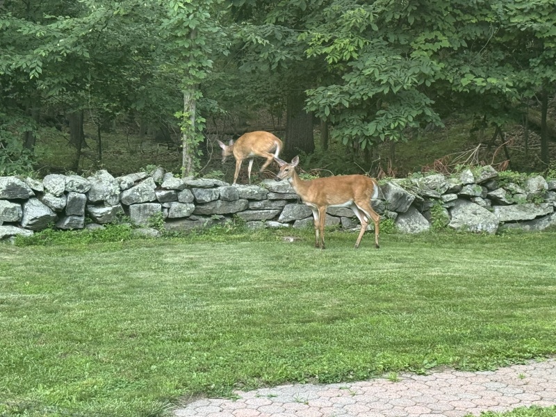 Come and tell us your dull and unexciting news 33: Calmly through the day