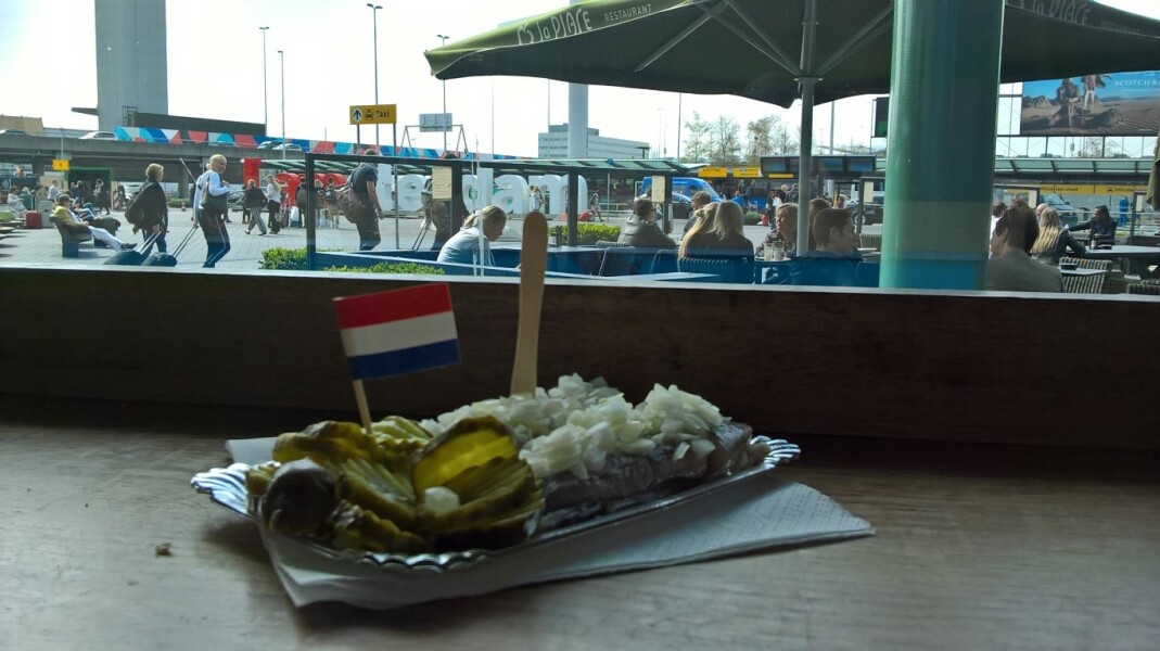 Can we get food when we land at Schiphol Airport?