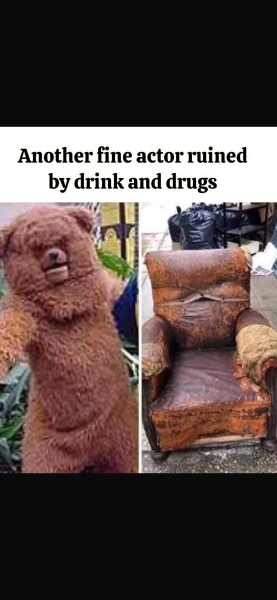 This made me howl laughing.  Anyone else heard a funny joke or seen a funny meme?