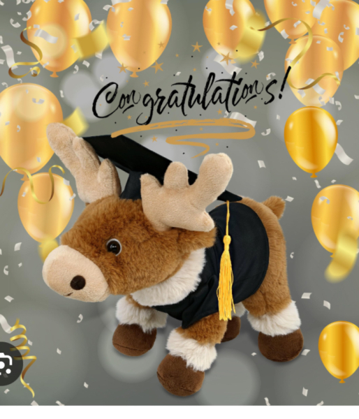 Trans sibling in law