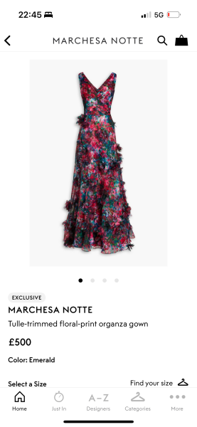 Which wedding dress- or neither?!