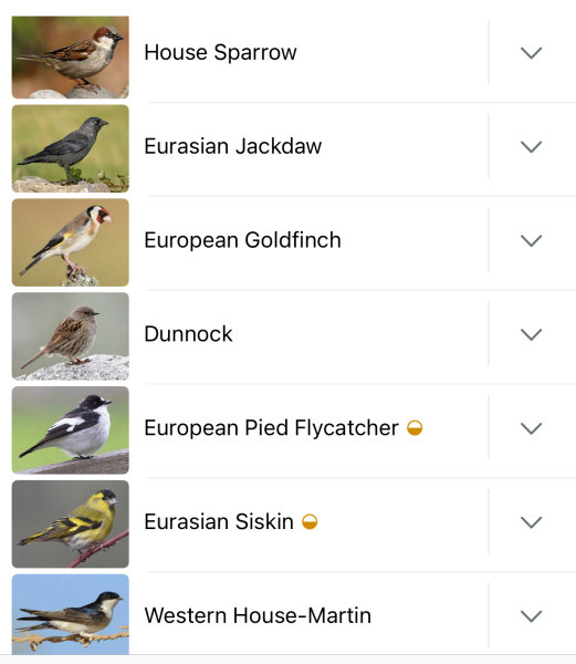 Merlin App Appreciation plus General Birding Chat