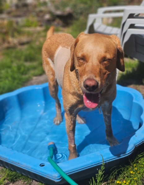 May Starters Thread 3 ~ Onwards & Downwards!