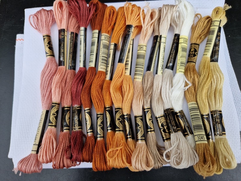 Roond and roond and up and doon - the Excellent Cats roam aboot