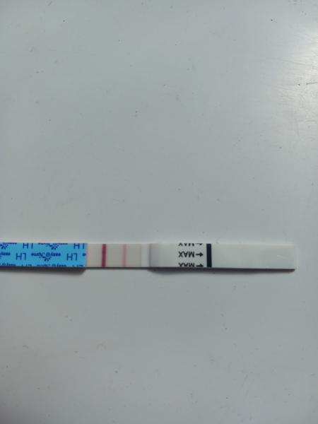 Ovulation test help