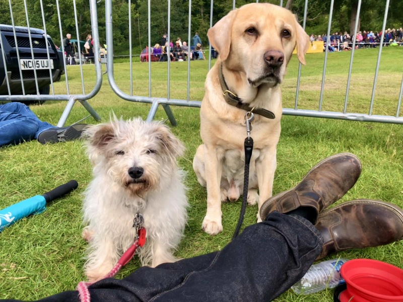 May Starters Thread 3 ~ Onwards & Downwards!