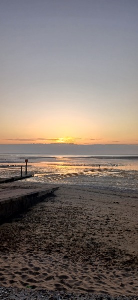 Why are you up this early on the summer solstice?