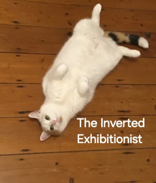 Roond and roond and up and doon - the Excellent Cats roam aboot