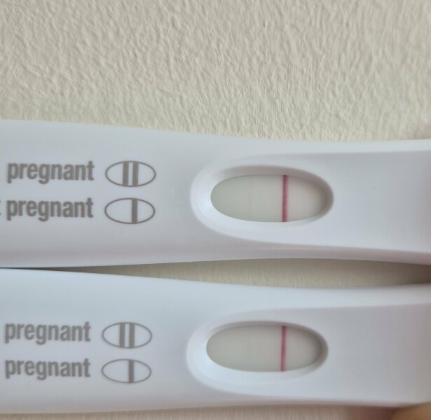 Due February 2026 ✨