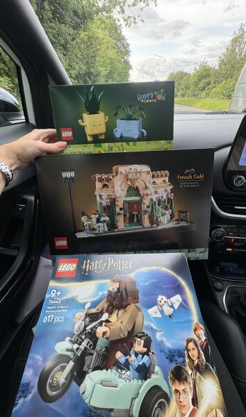 To show me your Lego collection?