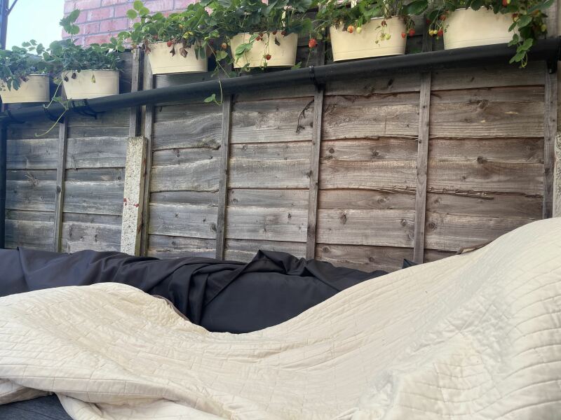 What are you up to today if you have chronic illness?