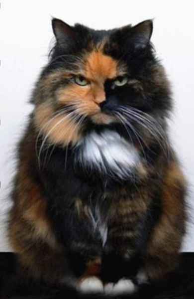 Play date with mum who agrees with education tax