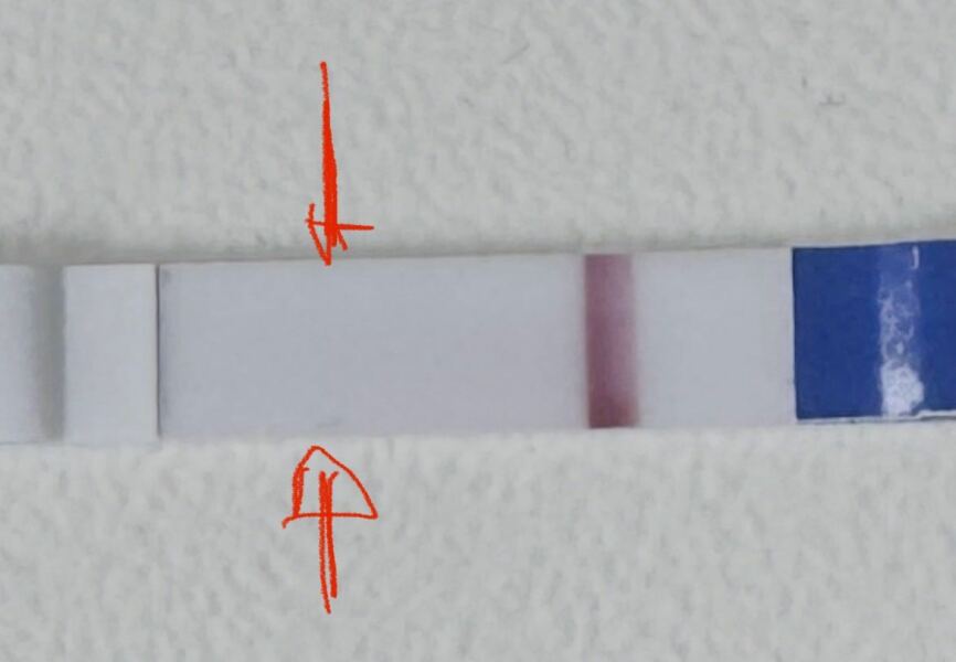 JUNE 2025 Trying To Conceive Thread