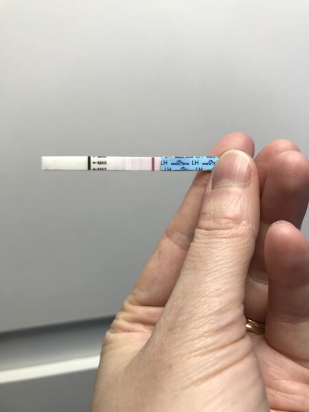 JUNE 2025 Trying To Conceive Thread