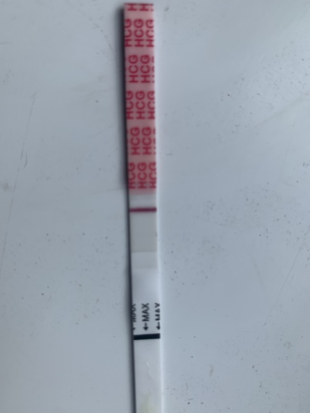 Ovulation after IVF cycle