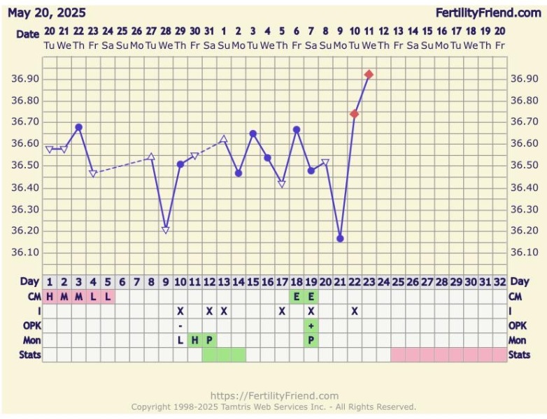 At least we avoided Christmas babies!