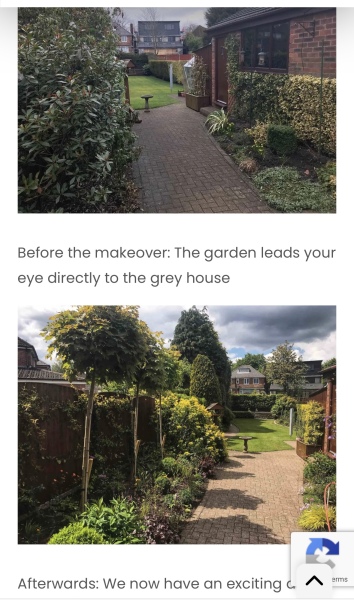 Desperately need ideas for trees/bushes screening at fence