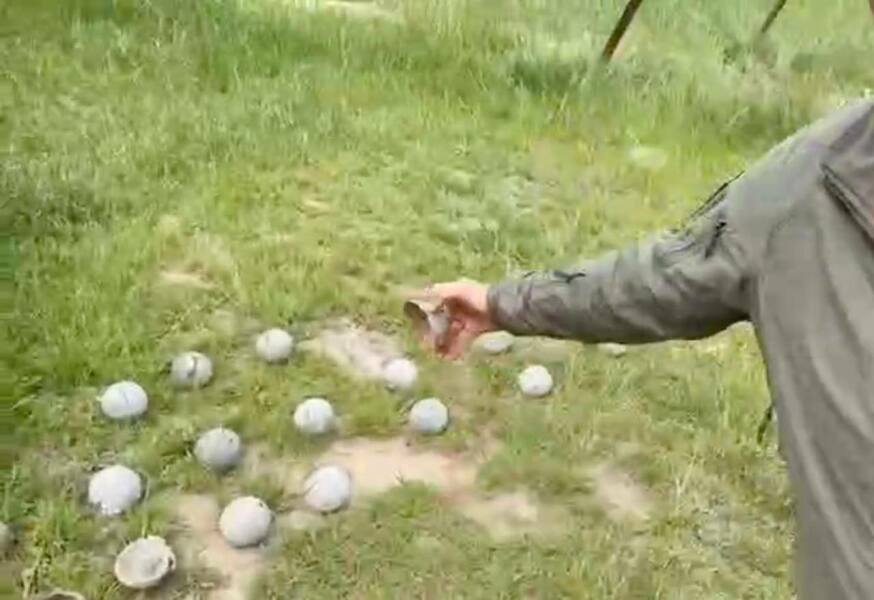 Ukraine Invasion: Part 57