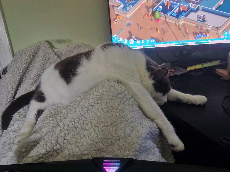Where is the most awkward or inconvenient place your cat sleeps?