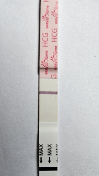 Pregnancy after a loss/ possible chemical Pregnancy