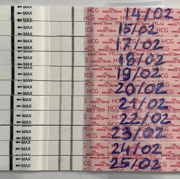 Easy at home line progressions