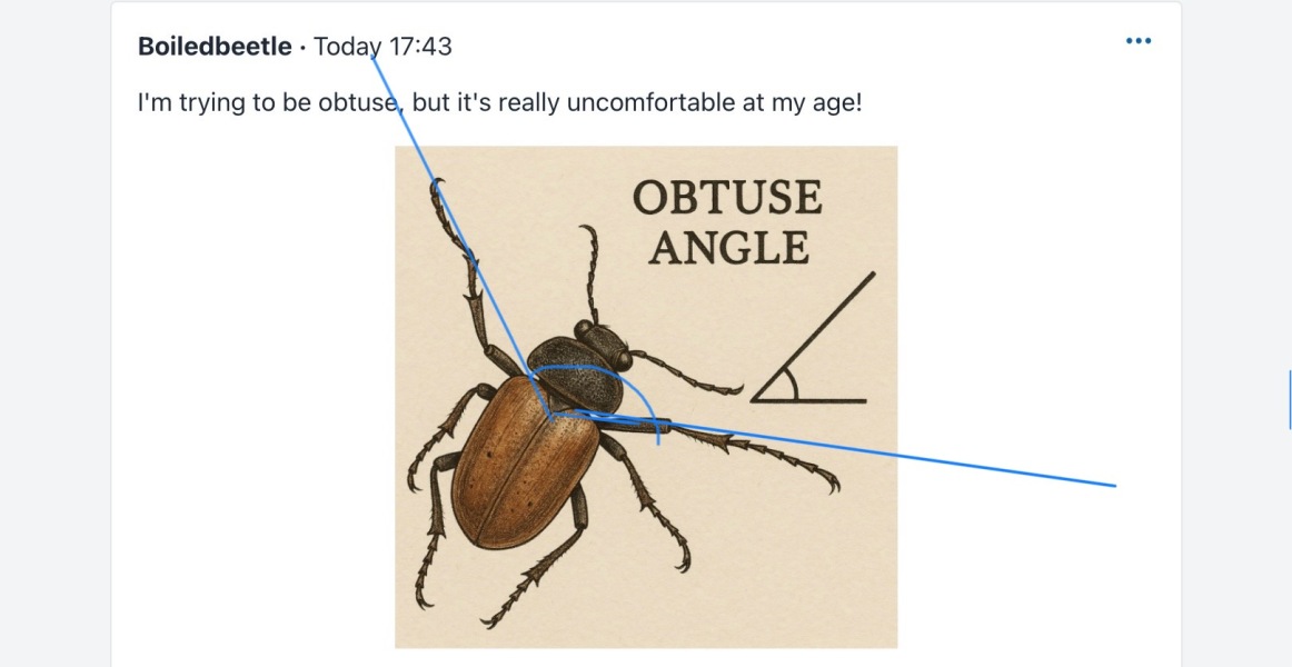 "We have always been here"