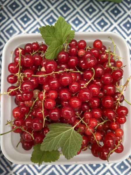 Come and tell us your dull and unexciting news 33: Calmly through the day