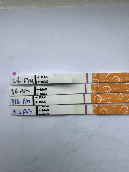 JUNE 2025 Trying To Conceive Thread