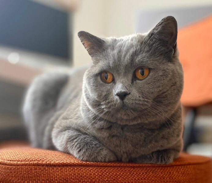 Thread 18 - TalkLair: "That's no moon. It's a space station!"