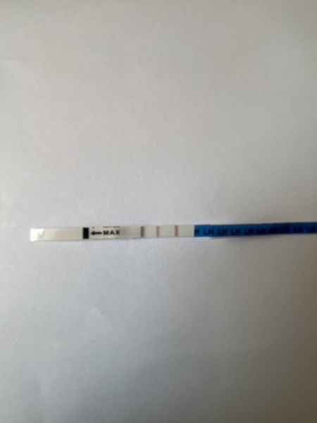 Ovulating?